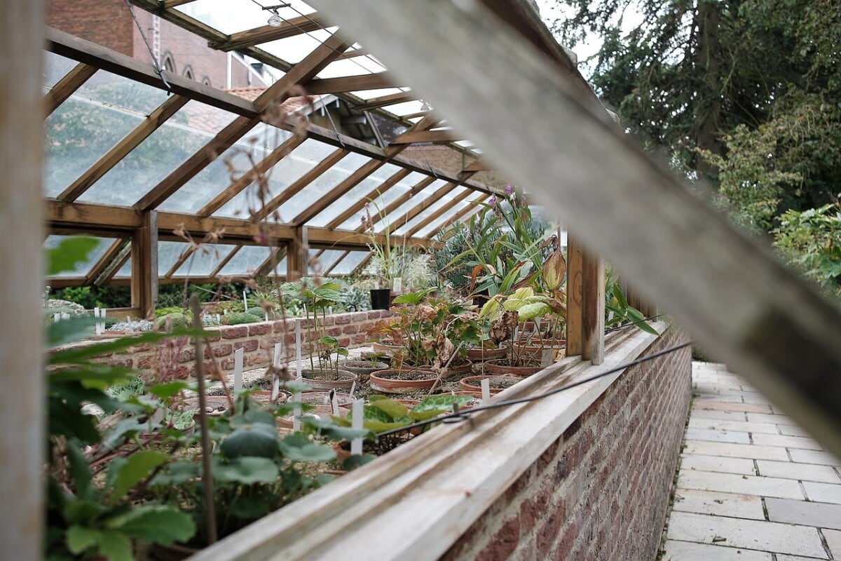 8 Considerations When Building a Backyard Greenhouse