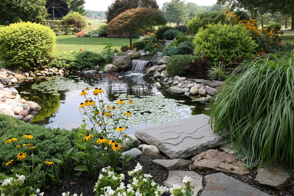 How to Build a Certified Wildlife Habitat at Home